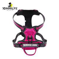 Nylon Dog Harness Vest Reflective Dog Harness Personalized Breathable Adjustable Harness Leash For Small Medium Large Dogs
