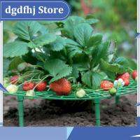 Dgdfhj Shop 5pcs Garden Strawberry Plant Stand Frame Holder Balcony Planting Rack Support Fruit Flower Climbing Gardening Tools