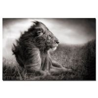 Lion สีดำและสีขาวรูปภาพ Wall Art โปสเตอร์สำหรับตกแต่งบ้านผ้าใบพิมพ์ Unframed ภาพวาด New