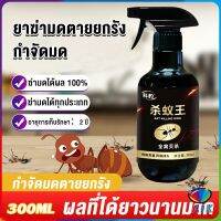 AIK สเปย์กำจัดมด ยากำจัดมดภายในบ้าน กำจัดแมลง  Pest Control