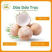 Dừa Dứa Gọt Trọc Vị Thanh, Thơm Ngon - 500 - 600g trái