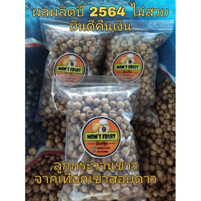 ( สุดคุ้ม+++ ) ลูกกระวานขาว (Cardamom) ผลผลิตปี 2564จากเทือกเขาสอยดาว ราคาถูก พรรณ ไม้ น้ำ พรรณ ไม้ ทุก ชนิด พรรณ ไม้ น้ำ สวยงาม พรรณ ไม้ มงคล