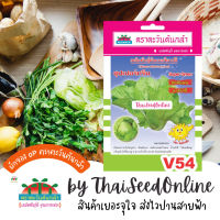 ADVOP ซฟ เมล็ดพันธุ์ เขียวปลี ซุปเปอร์กรีน ตราตะวันต้นกล้า V54