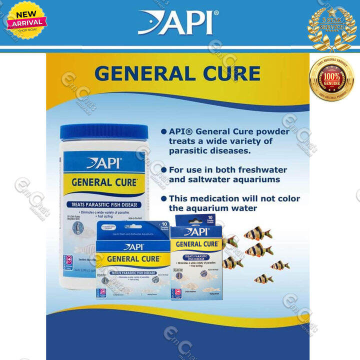 API General Cure Powder 10powder packets(fmed)Velvet Disease, Hole in