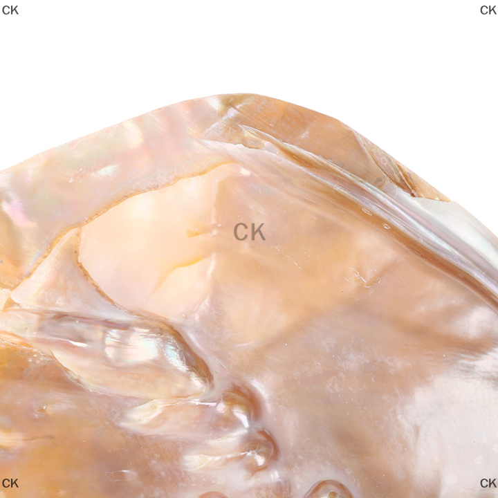 ck-มุกน้ำจืดธรรมชาติเปลือกหอย-oyster-mother-of-pearl-nautical-decoration