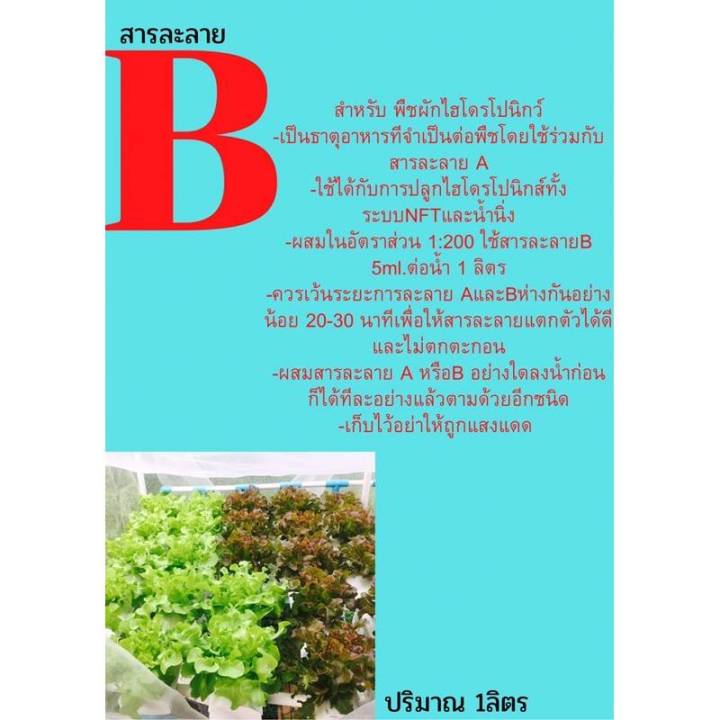 ปุ๋ย-ab-ชุด-a1ลิตร-b1ลิตร-สำหรับผักไฮโดโปรนิกส์-ปุ๋ยไฮโดรโปนิกส์-ปุ๋ยab-ขนาด1ลิตร-ปุ๋ยน้ำ-ปุ๋ยเอบี-ปุ๋ยผักสลัด-ปุ๋ยผักhydroponics-สูตรปรับใหม่