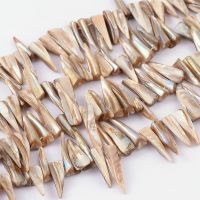 1Strand Natural Shell Beads Strands Erose White about 4~9mm wide 13~35mm long hole: about 0.5mm 14 inch