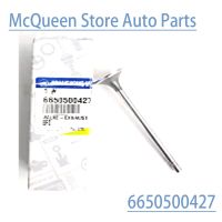 New Genuine Exhaust Valve 6650500427 For Ssangyong Actyon/Sports Kyron Rexton Rodius STAVIC +D20DT D27DT