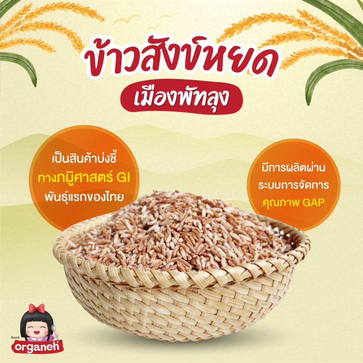 ข้าวสังข์-หยดเมืองพัทลุง-ข้าวออแกนิค-ได้รับรองgi