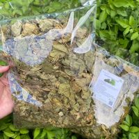 ใบหม่อนอบแห้ง ขนาด 500 กรัม (mulberry leaves) ผักสมุนไพรไทยอบแห้ง สินค้าพร้อมส่ง [ Cha Green Leaf ]