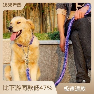 สายจูงสุนัข 8 เส้นถักเปียสำหรับสุนัขเดิน สายจูงสุนัขขนาดกลางและขนาดใหญ่ WH6Y