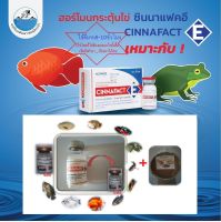 ฮอร์โมนเพาะพันธุ์ปลา ฮอร์โมนเพาะพันธุ์กบ ขนาด 5 ml ฮอร์โมนผสมเทียมปลา ฮอร์โมนเพาะพันธุ์ปลาคราฟ ปลาทอง ฮอร์โมนเพาะพันธุ์ปลาช่อน ปลาดุก