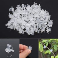 20/40/60/80 Pcs Plastic Plant Clips Supports Connects Reusable Protection Grafting Fixing Tool Gardening Supplies for Vegetable