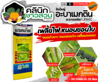 ? แจคเก็ต โซตัส (อะบาเมกติน) บรรจุ 100ซีซี กำจัดหนอนชอนใบได้เด็ดขาด