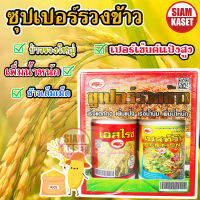 สุดยอดฮอร์โมนบำรุงข้าว สะท้านทุ่ง และ ซุปเปอร์รวงทอง สุดยอดธาตุรอง-เสริมในนาข้าว เร่งการเจริญเติบโต ออกรวงสุด รวงสวย เมล็ดเต็ม