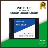 WD BLUE PC SSD 500GB 1TB 250GB M.2.5 2280 SATA III