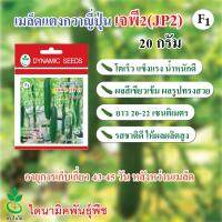 เมล็ดพันธุ์ แตงกวาญี่ปุ่น เจพี 2 ลูกผสม ตราใบไม้ ขนาด 20 กรัม 1 ซอง นำเข้าจากประเทศญี่ปุ่น โดย ไดนามิคพันธุ์พืช Hybrid Japanese Cucumber Seeds F1 (JP2) 20 grams 1