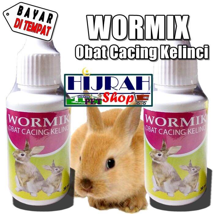 Obat Kelinci Obat Anak Kelinci Obat Kelinci Cacingan Obat Kelinci ...