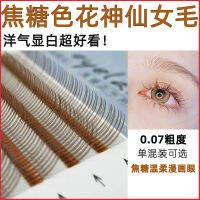 แคทลอนคาราเมลดอกไม้เทพ 5d ขนตานางฟ้า C Alice Comics Eye Beauty Eyelashes Shop Grafting Fairy Fake Eyelashes ~