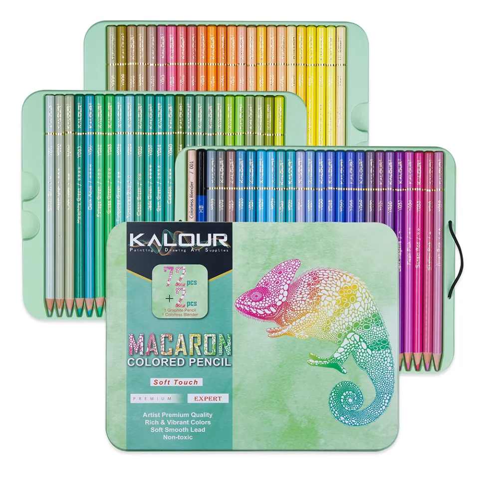 Premium 72 Colored Pencil Set - Includes Pencil Organizer, Travel