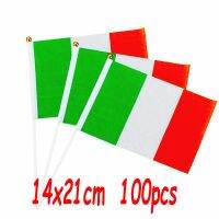 ZXZ 100pcs Ireland hand Flag 14*21cm Polyester Double Side Printing IRE Ireland Hand Flag with plastic flagpole