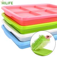 Plant Tool 1 piece Growing Wheat seedlings Nursery Pots Plate Seedling Tray Planting Dishes Double Layer Bean Sprouts