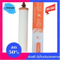 [[ของแท้100%]] ไส้กรองน้ำ เซรามิค หัวเกลียว American Water Filter สำหรับใส่กรองน้ำดื่ม น้ำใช้ ของแท้ ส่งฟรีทั่วไทย by Minerva6395