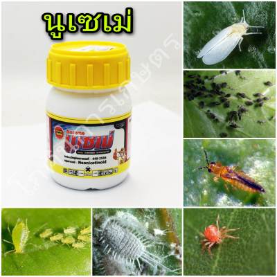 สารป้องกันกำจัดแมลง นูเซเม่ (อะเซทามิพริด 20% W/V SL) ขนาด 100cc