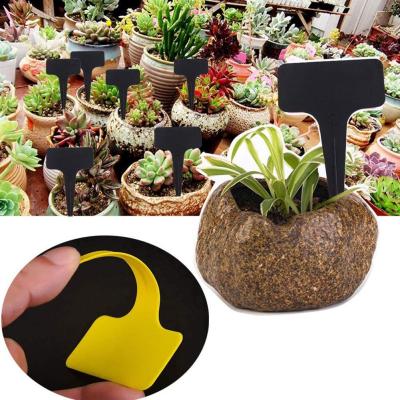 Thickened Gardening Flower Label Plant Label Succulent For Flower Brand Label Gardening Plastic Label Q5F5