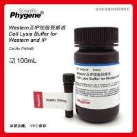 and cell lysate send PMSF 100mL immunoprecipitation [PH0406 PHYGENE]