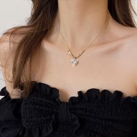 [COD] Real gold electroplated zircon heart necklace ins fashion niche sweater chain net red popular