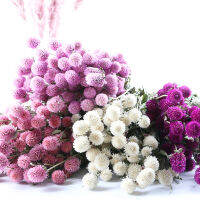 20Pcs Small Strawberry Fruit Grass Natural Dry Flower Artificial Plant Wedding Bouquet Mariage Room Home Decoration Salon Casa