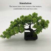 Simulation Bonsai Outdoor Tree Potted Adorn Plastic Desktop Table Ornament Living Room Windowsill Bookshelf Bedroom