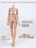 IN SOTCK 1:6 Female Semi-Silicone Pale and Healthy Skin Different Sizes Of Breasts Figure Body
