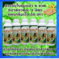 สารจับใบแมกม่า ขนาดขวดละ 1 ลิตร 6 ขวด ช่วยให้ปุ๋ยน้ำ ยา สารฮอร์โมนต่างๆ ทุกชนิด แทรกซึมเข้ากับพืชได้เร็วภายใน 1 - 2 นาที