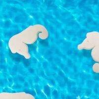 30 Pcs Oil-Absorbing Sponge Duck Shaped Convenient Scum Removal Sponge for Hot Tubs Swimming Pools