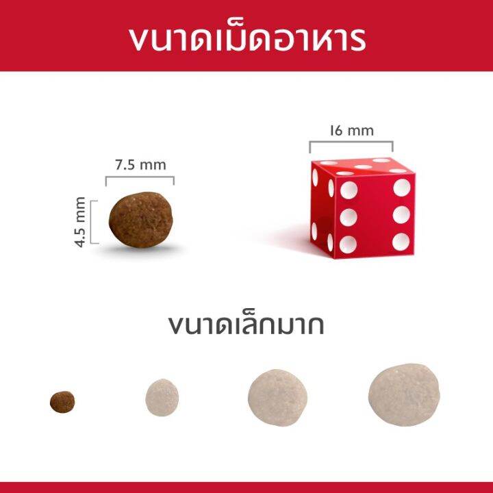 หมดกังวน-จัดส่งฟรี-hills-science-diet-adult-small-paws-อาหารเม็ด-อาหารสุนัขพันธุ์เล็ก-อายุ-1-6-ปี-ขนาด-1-5-กิโลกรัม-และ-7-กิโลกรัม