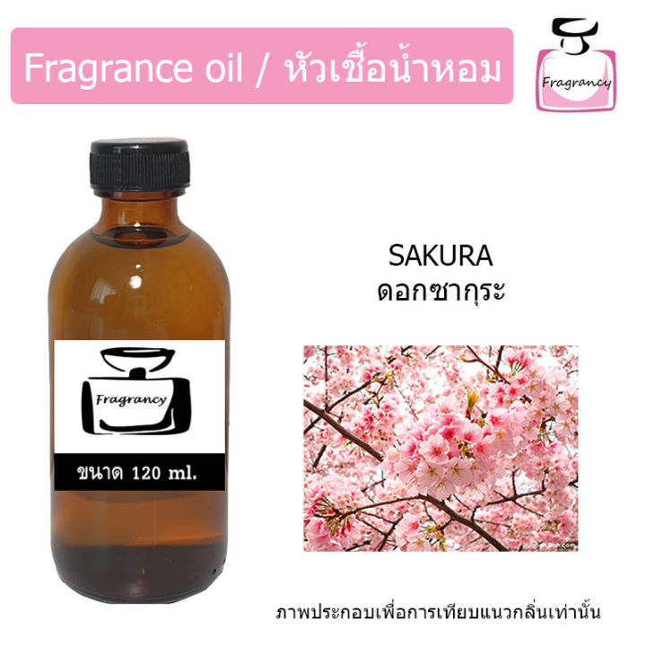 หัวน้ำหอม-กลิ่น-ดอกซากุระ-sakura