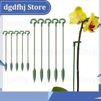 Dgdfhj Shop 5/10x 37cm 48cm Plastic Plant Supports Holder Bracket Flower Stand climbing Fixed Protection Tool Garden Supplies For orchid