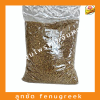 ลูกซัด  Fenugreek ขนาด 500 กรัม