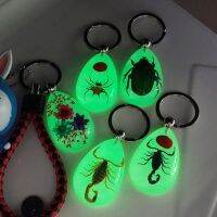 blg Luminous Keychain Black Scorpion Amber Resin Adjustable Keychain Pendant Gifts 【JULY】