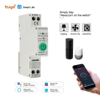 40A Din Rail WiFi DC Circuit Breaker Smartlife Surge Protector APP ควบคุมแรงดันไฟฟ้ารีเลย์รีโมท Google Zigbee Alexa Switch-WIOJ SHOP