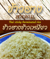 ข้าวฮางเหนียว ขนาด 1 Kg. แพ็คสุญญากาศ ทำจากข้าวเหนียว กข6 น้ำตาลต่ำ หุงได้ นึ่งได้