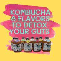 (Set 8 ขวด) Dracula ชาดูดพิษ Raw Kombucha organic คอมบูชา คอมบูชะ ชาหมัก ดีท็อกซ์ ท้องผูก มีโพรไบโอติกสูง ชาผู่เอ๋อ สารต้านอนุมูลอิสระ detox probiotic antioxidant