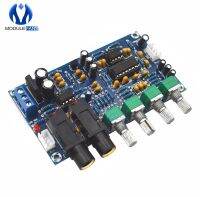 XH-M173 Microphone Amplifier Board Karaoke Reverberation Dual Double Power AC 6V 20V AC 12V Transformer