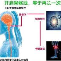 สติกเกอร์เพิ่มความสูงพระกิตติคุณสั้นสิ่งประดิษฐ์สำหรับผู้ใหญ่และวัยรุ่น Non shoe pad length increased by 5-15 centimeters increased product