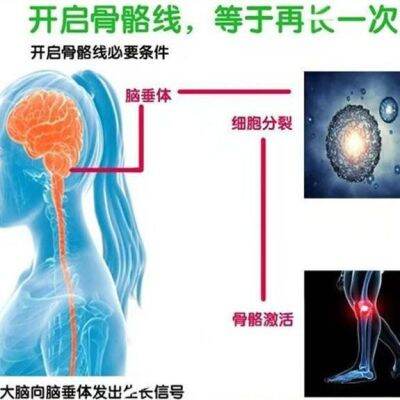 สติกเกอร์เพิ่มความสูงพระกิตติคุณสั้นสิ่งประดิษฐ์สำหรับผู้ใหญ่และวัยรุ่น Non shoe pad length increased by 5-15 centimeters increased product