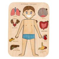 Human Body Puzzle Human Body Structure Wooden Puzzle for Children Educational Jigsaw Puzzles Human Body Parts Montessori Interactive Learning Puzzles for Preschoolers current