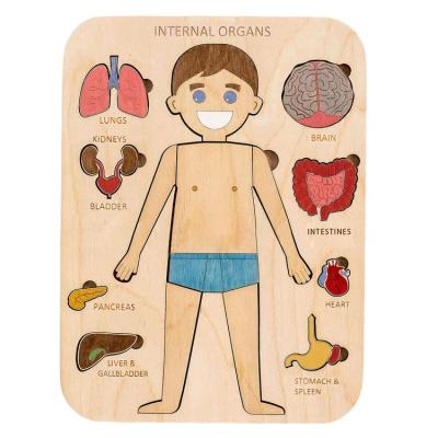 Human Body Puzzle Human Body Structure Wooden Puzzle for Children Educational Jigsaw Puzzles Human Body Parts Montessori Interactive Learning Puzzles for Preschoolers adorable