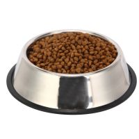 Dog Bowl Plate Stainless Steel Gamelle Chien Comedero Perro Metal Pet Puppy Food Water Drinking Big Bowls for Dogs Anti Slip Pad